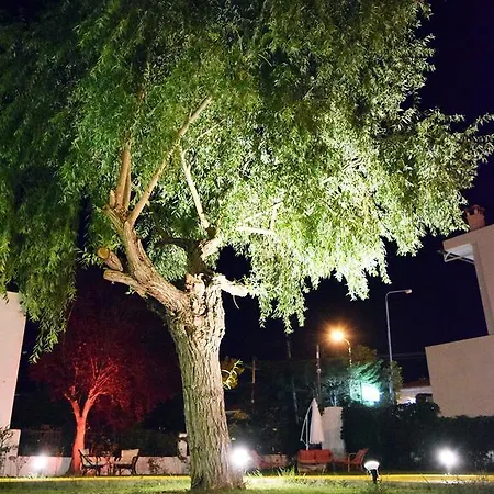 شقة Lofts أفيتوس